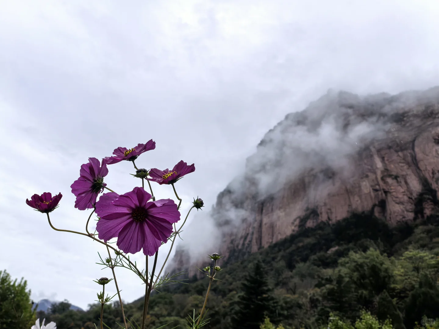 七步沟 | 雨后云雾是最好的滤镜