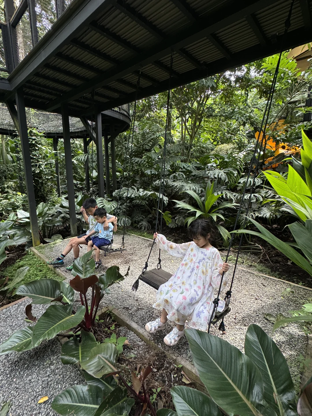 在哥斯达黎加住进了热带雨林是什么感受！