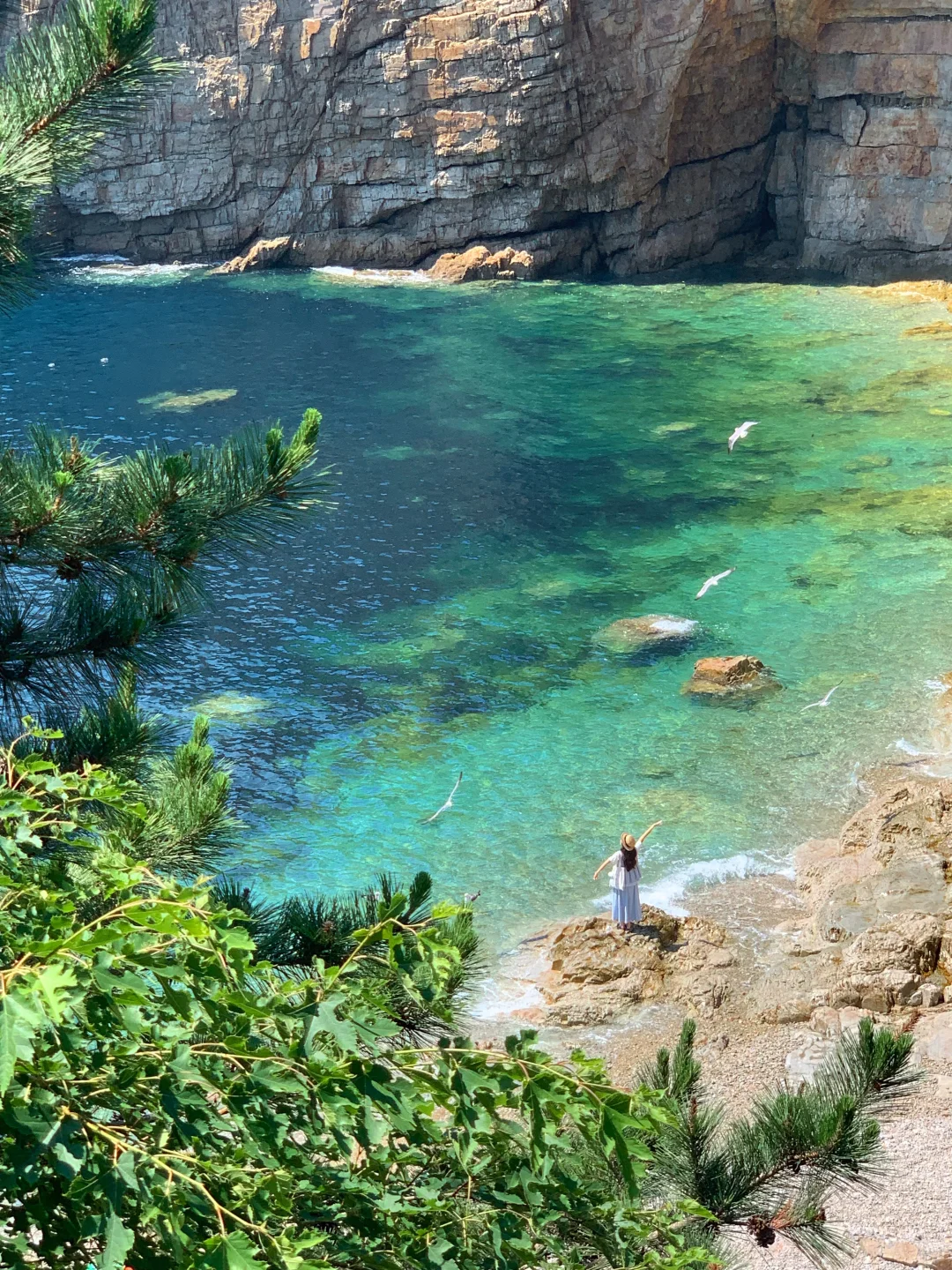 Live实况！来大连拍到了1️⃣8️⃣张人生照片！！