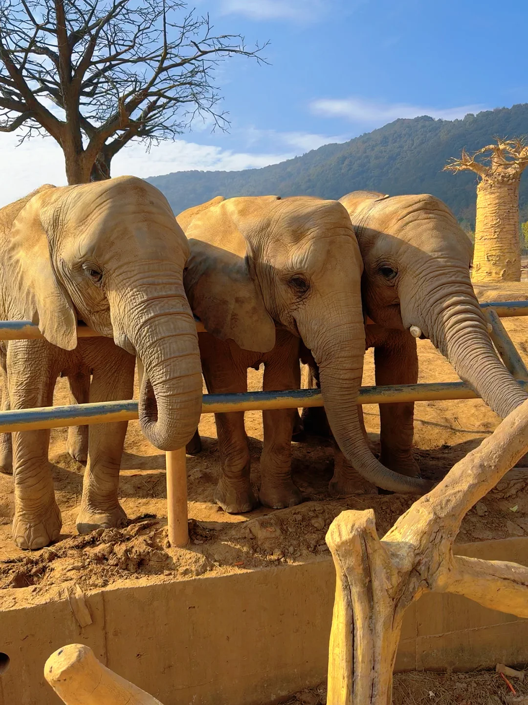 太湖龙之梦带娃瞎玩攻略!