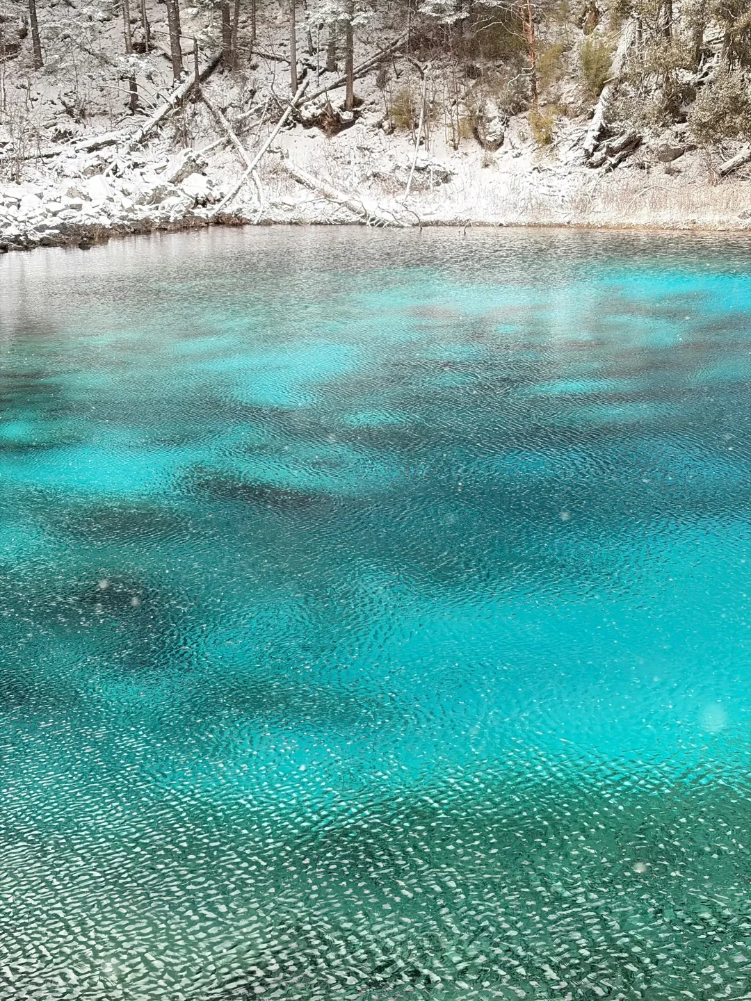 四川冬季必玩景点‼️‼️不踩坑沉浸式玩雪攻略