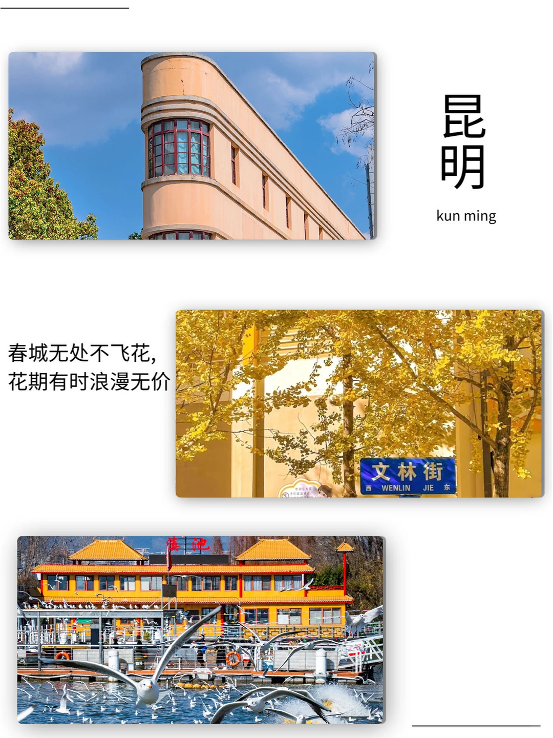 寒假春节❗去云南旅游📍6天纯玩✨1k+💰