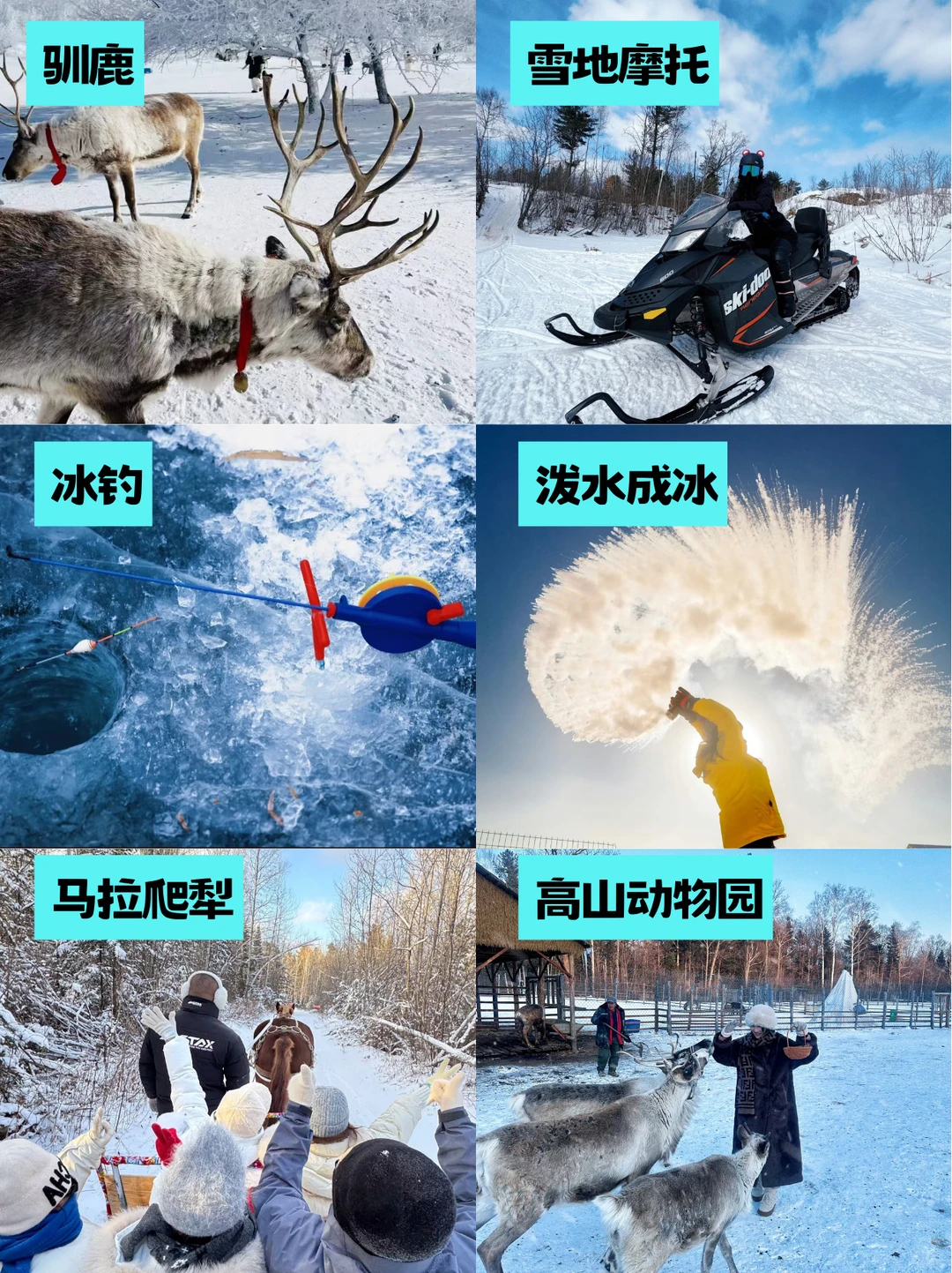 我宣布❗长白山靠谱🔥2-8人小团😭找到了