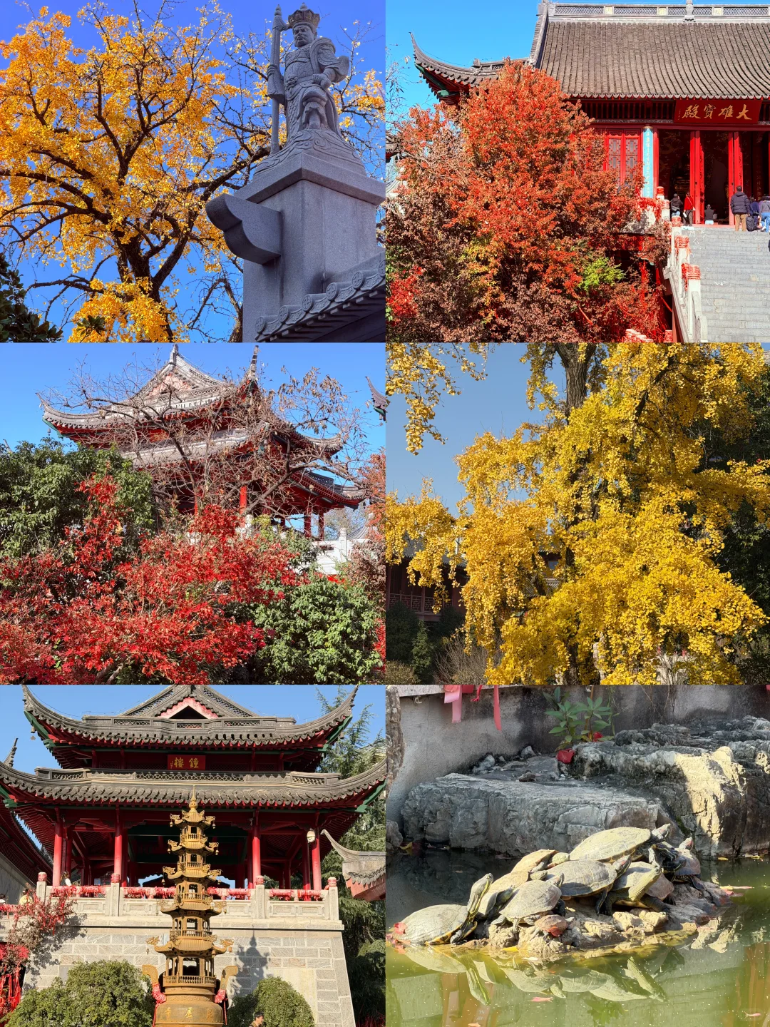 南京人带玩3天🍁附攻略🔥广东人哪见过深秋