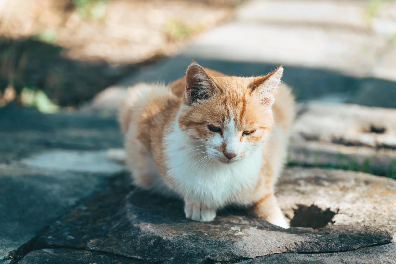 避暑山庄,不太值的5A景区