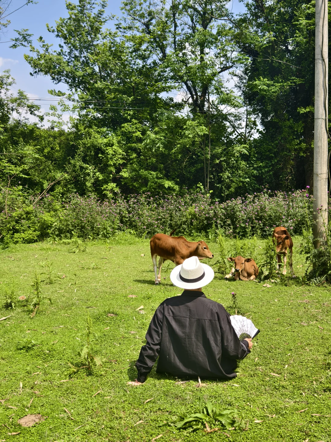 live图我宣布！小红书跟风打卡最成功的一次