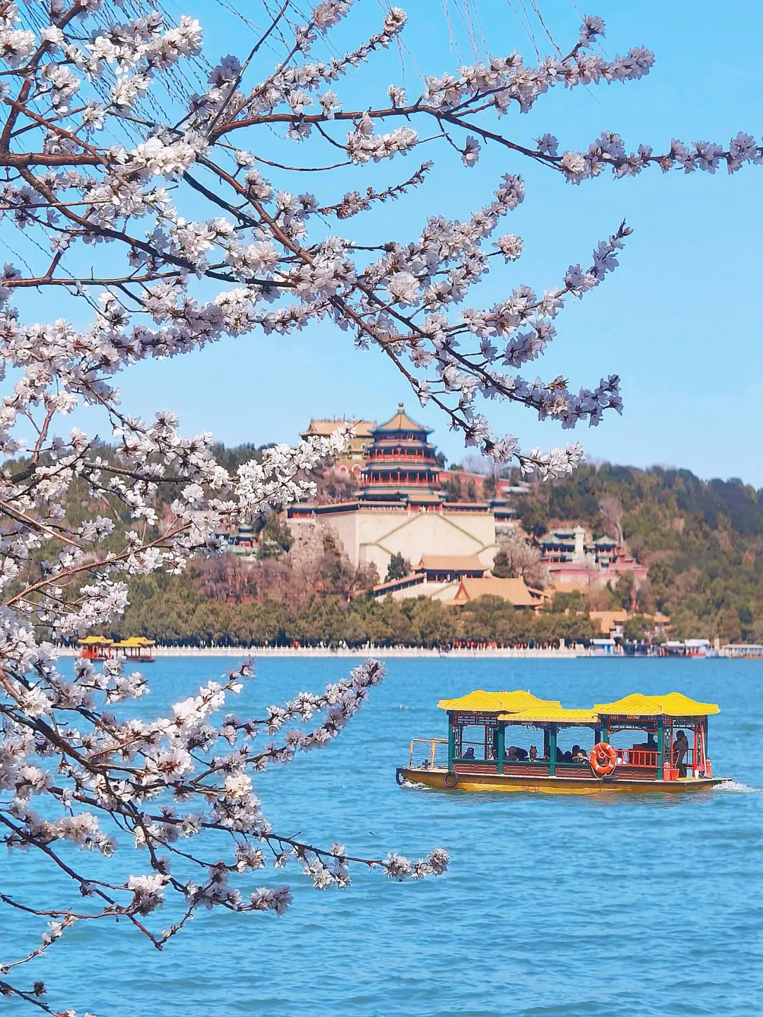 这才是北京！🤔 各景点真实体验报告