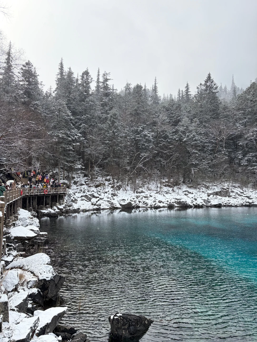 四川冬季必玩景点‼️‼️不踩坑沉浸式玩雪攻略