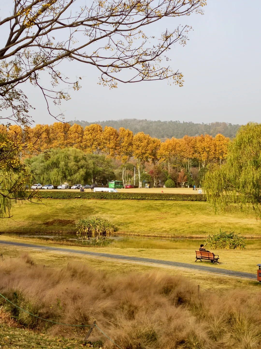 南京钟山流徽榭赏秋绝美路线