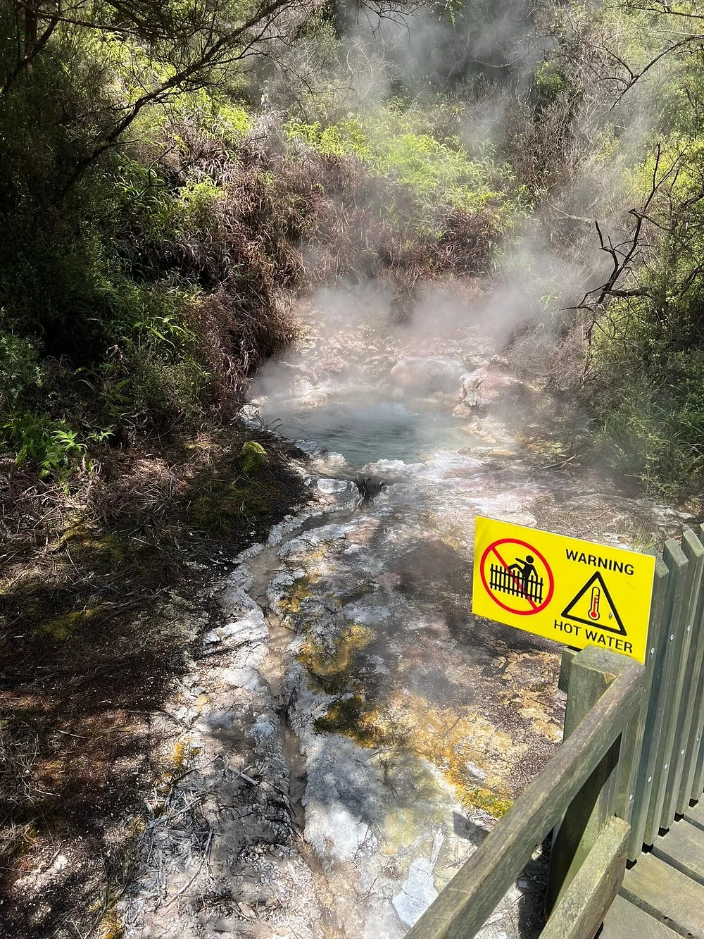 新西兰绝密仙境|乘船才能进的地热山谷🌋