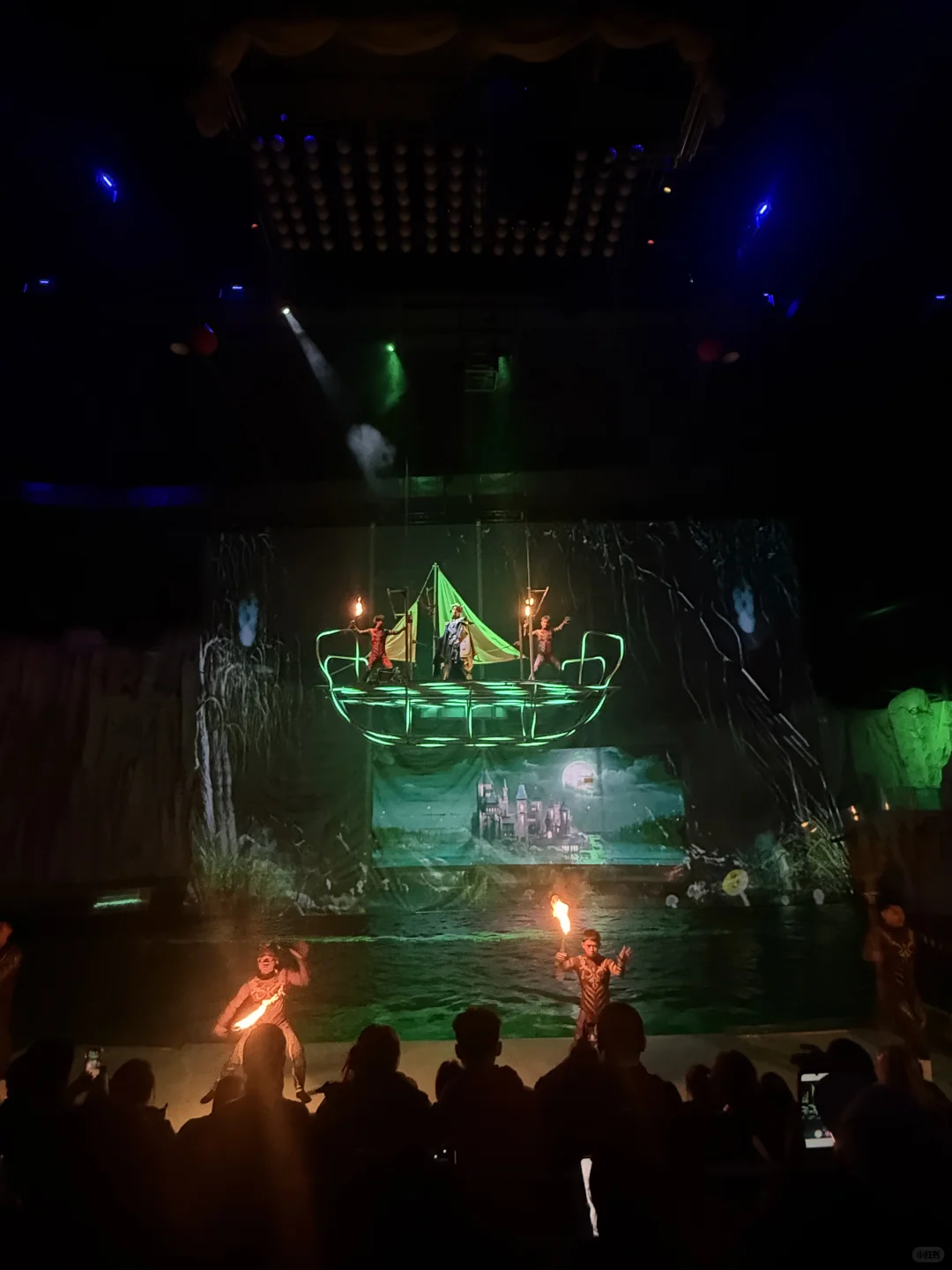 🐧哈尔滨极地公园顶流合集！一天玩够核心亮