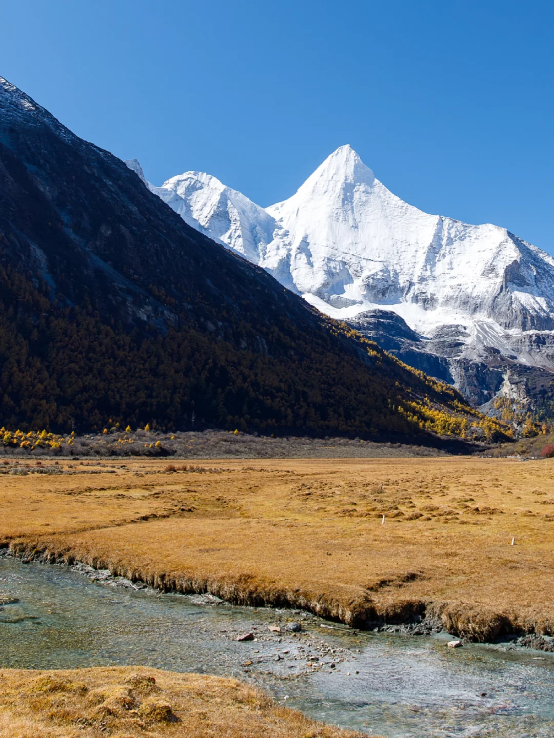 2025冬川西攻略❗️封山名单+开放景区整理