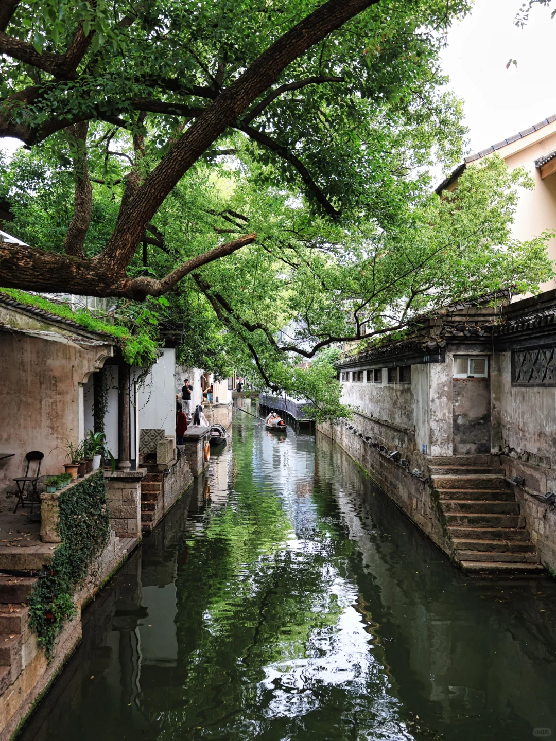 📍绍兴“读先生的书，看先生的故里”