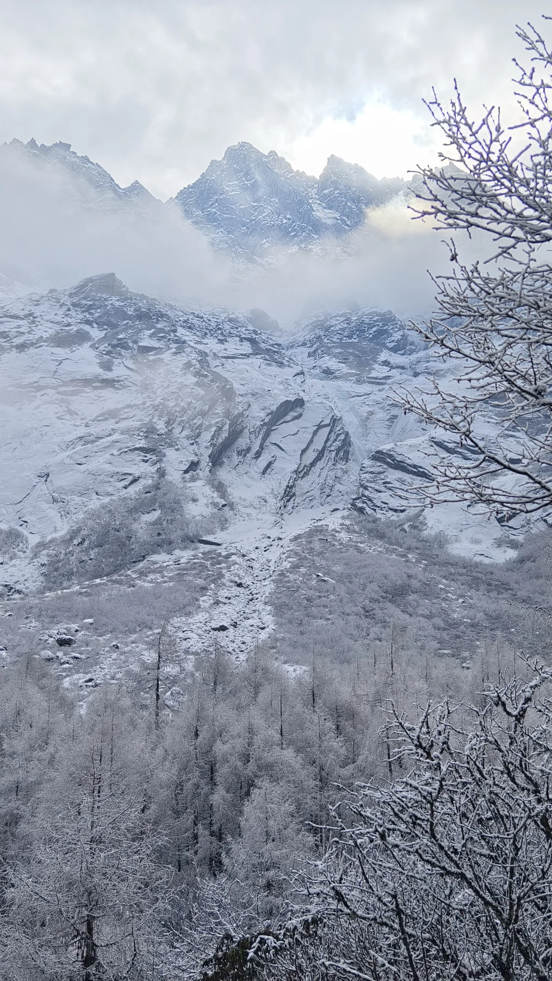 成都周边玩雪日记❄️|又免门票啦