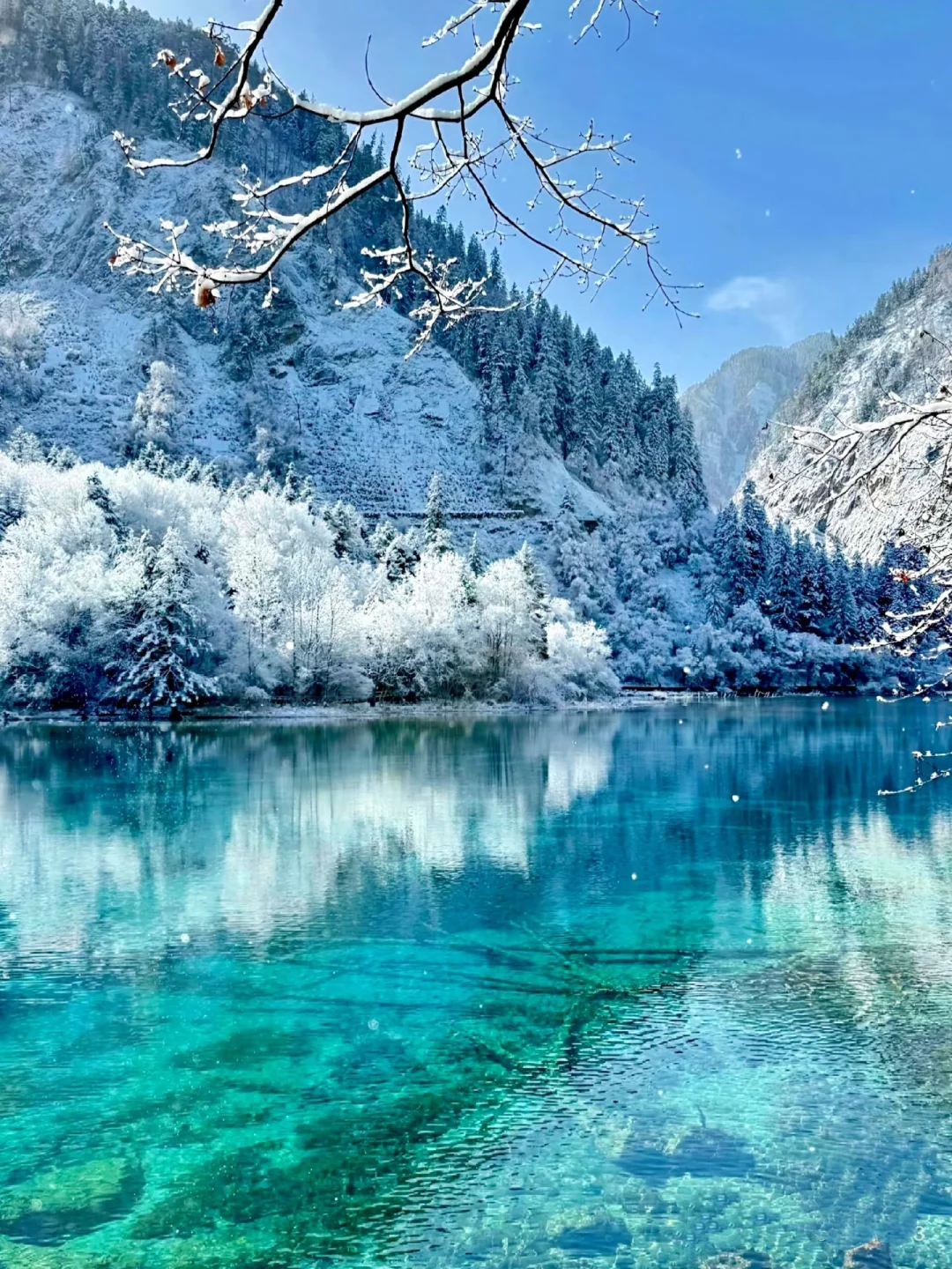 四川冬季必玩景点‼️‼️不踩坑沉浸式玩雪攻略