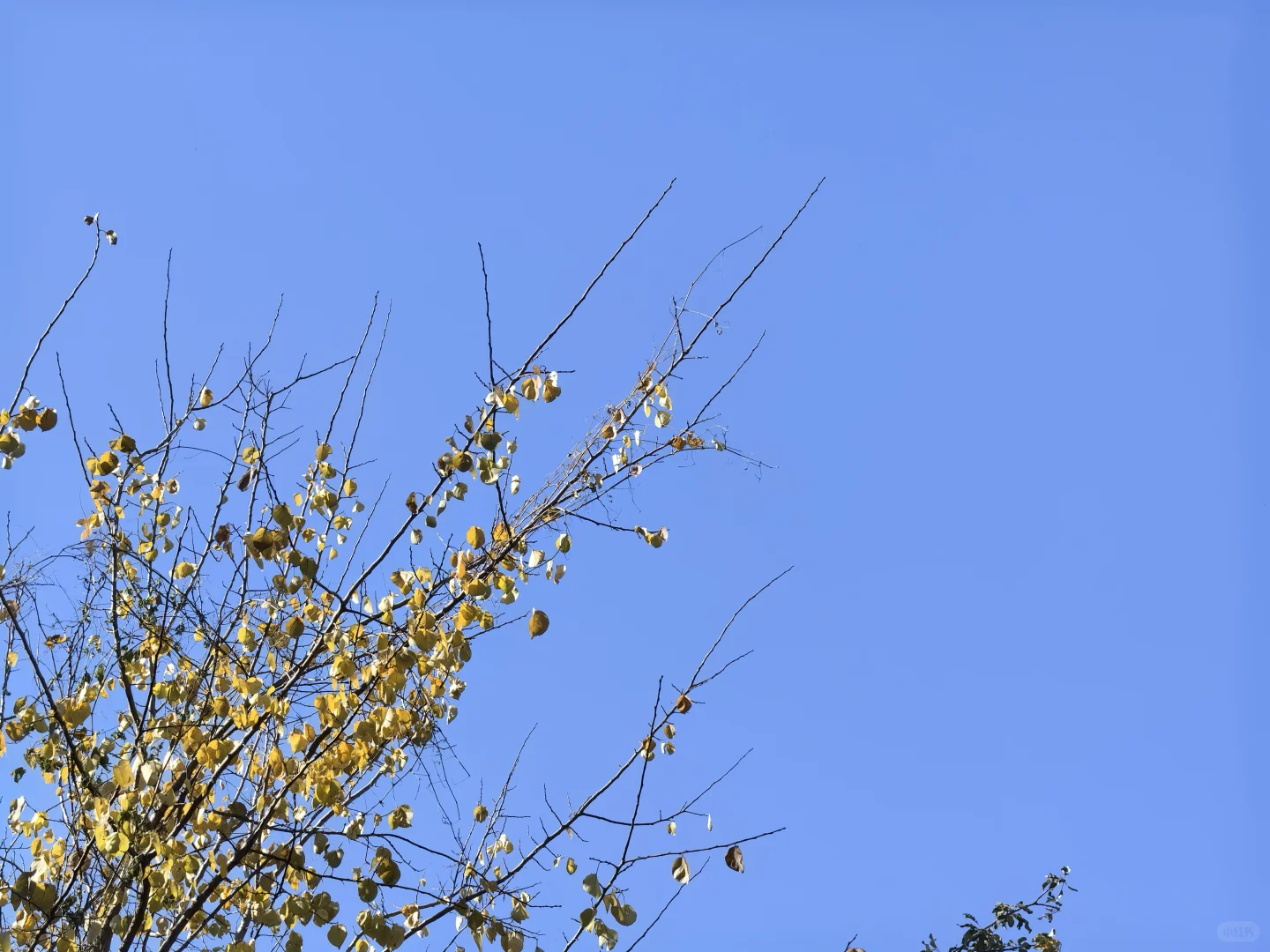邯郸爬山：体验征服佛照山的一天