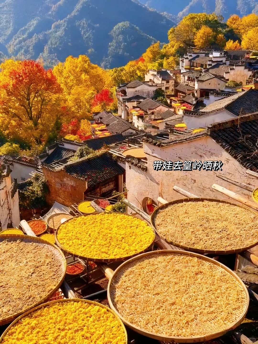 今年11~12月，只带娃去一个地方：徽州赏秋！🤩