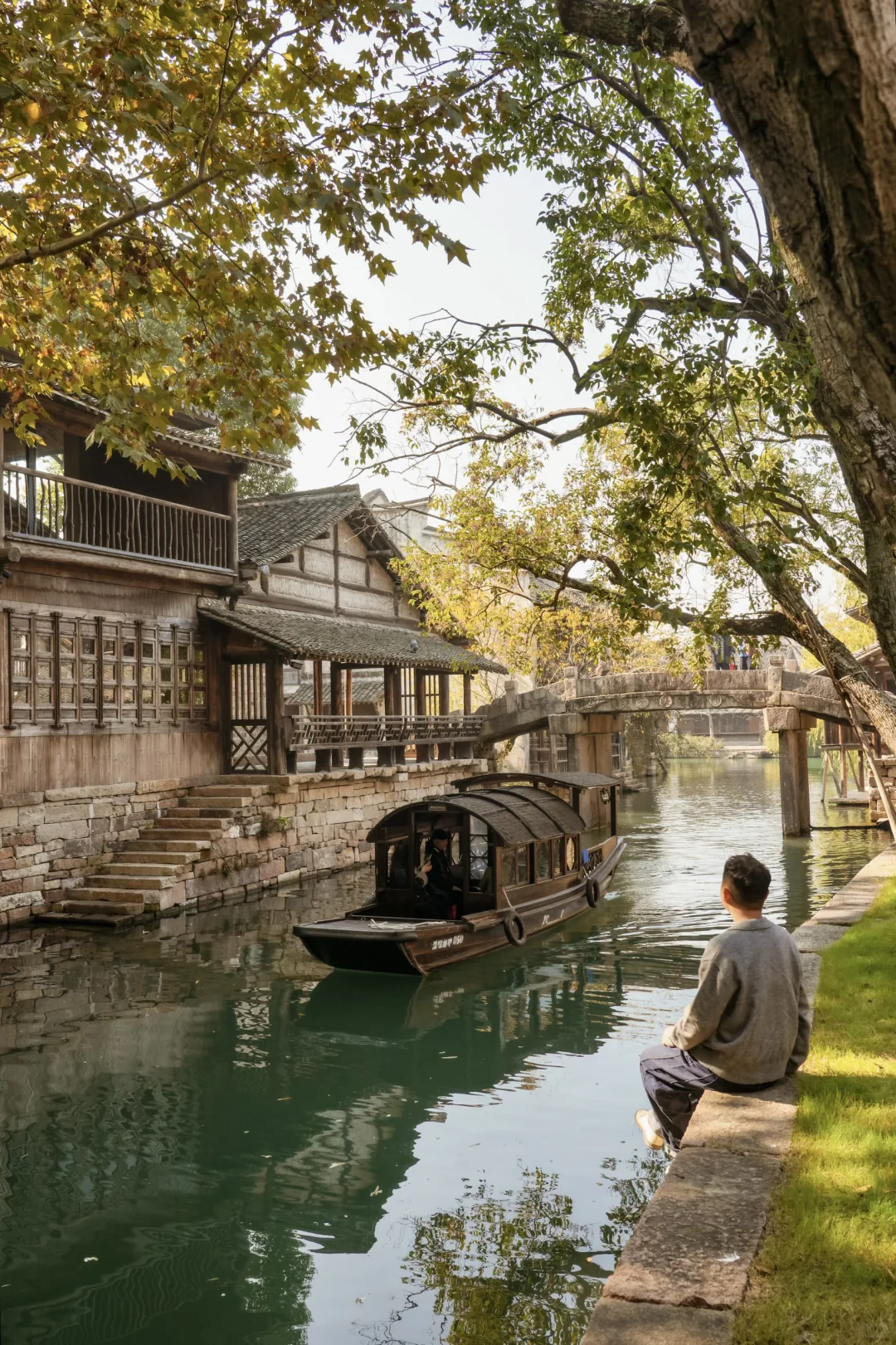 为了这棵1000年银杏，我特意去了趟浙江🍂