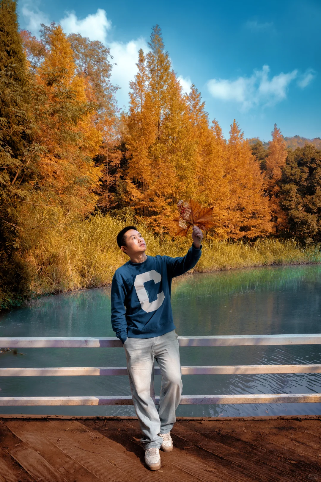 🍂北碚这条免费小众路线藏了整个秋天！