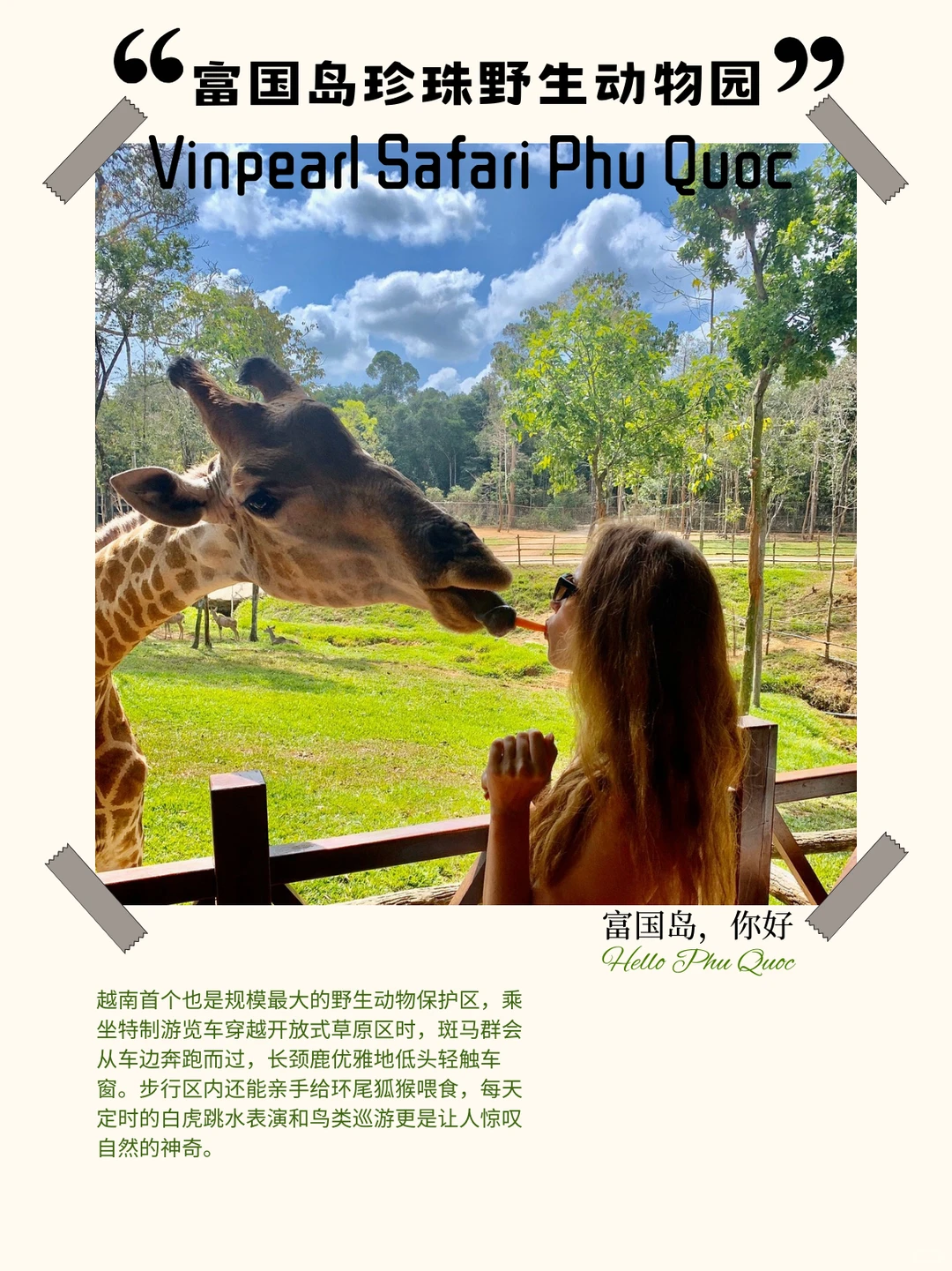 🌴富国岛玩全攻略｜五大必去景点一次收齐