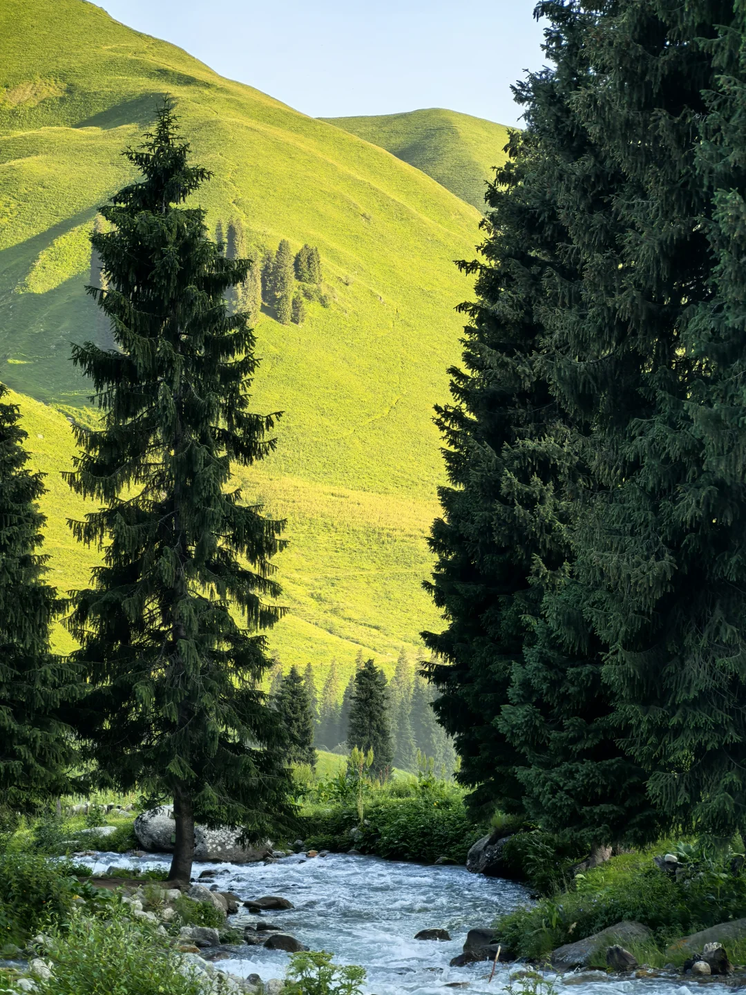 百里画廊-孟克特古道：遗落天山的荒野诗行