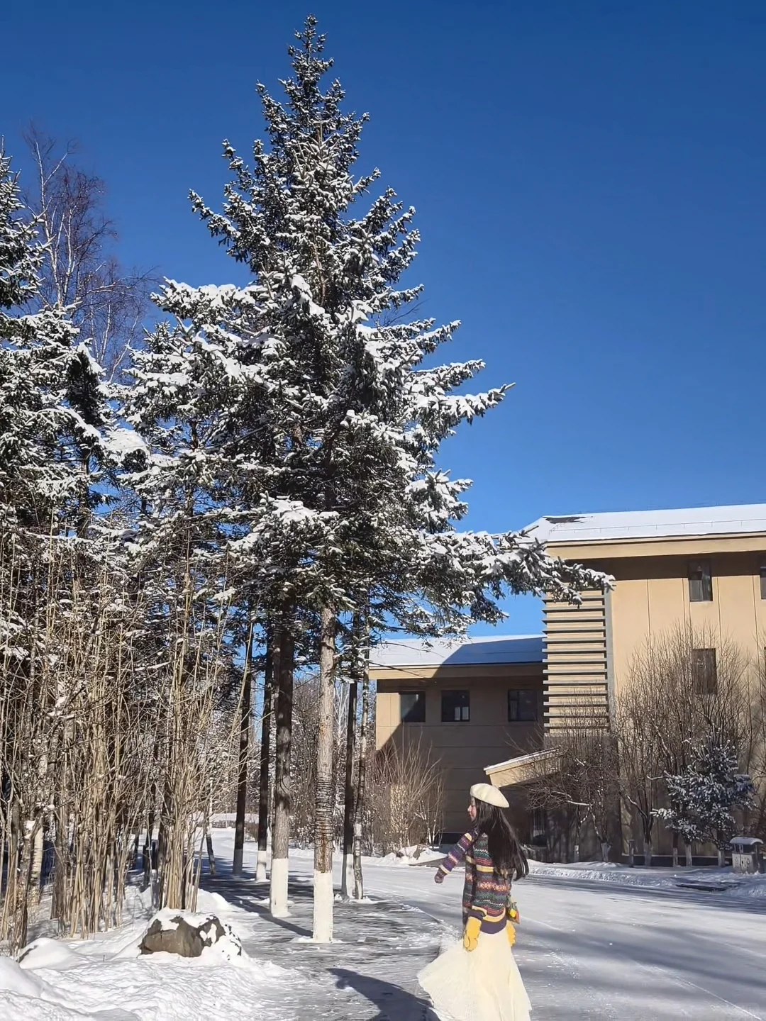 玩雪丨来长白山❝搓搓手 一起玩雪啦❞❄️