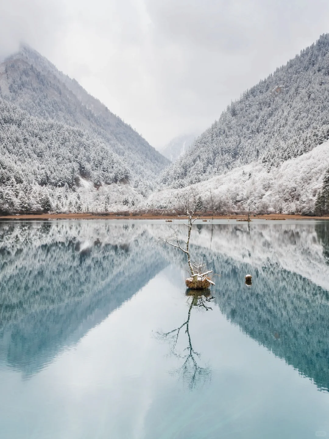 2025冬川西攻略❗️封山名单+开放景区整理