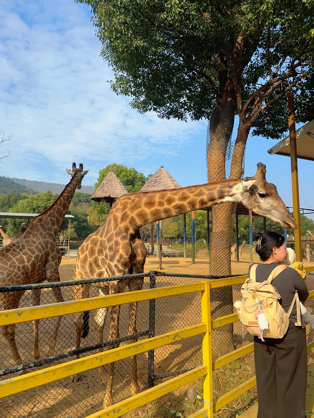 太湖龙之梦带娃瞎玩攻略!