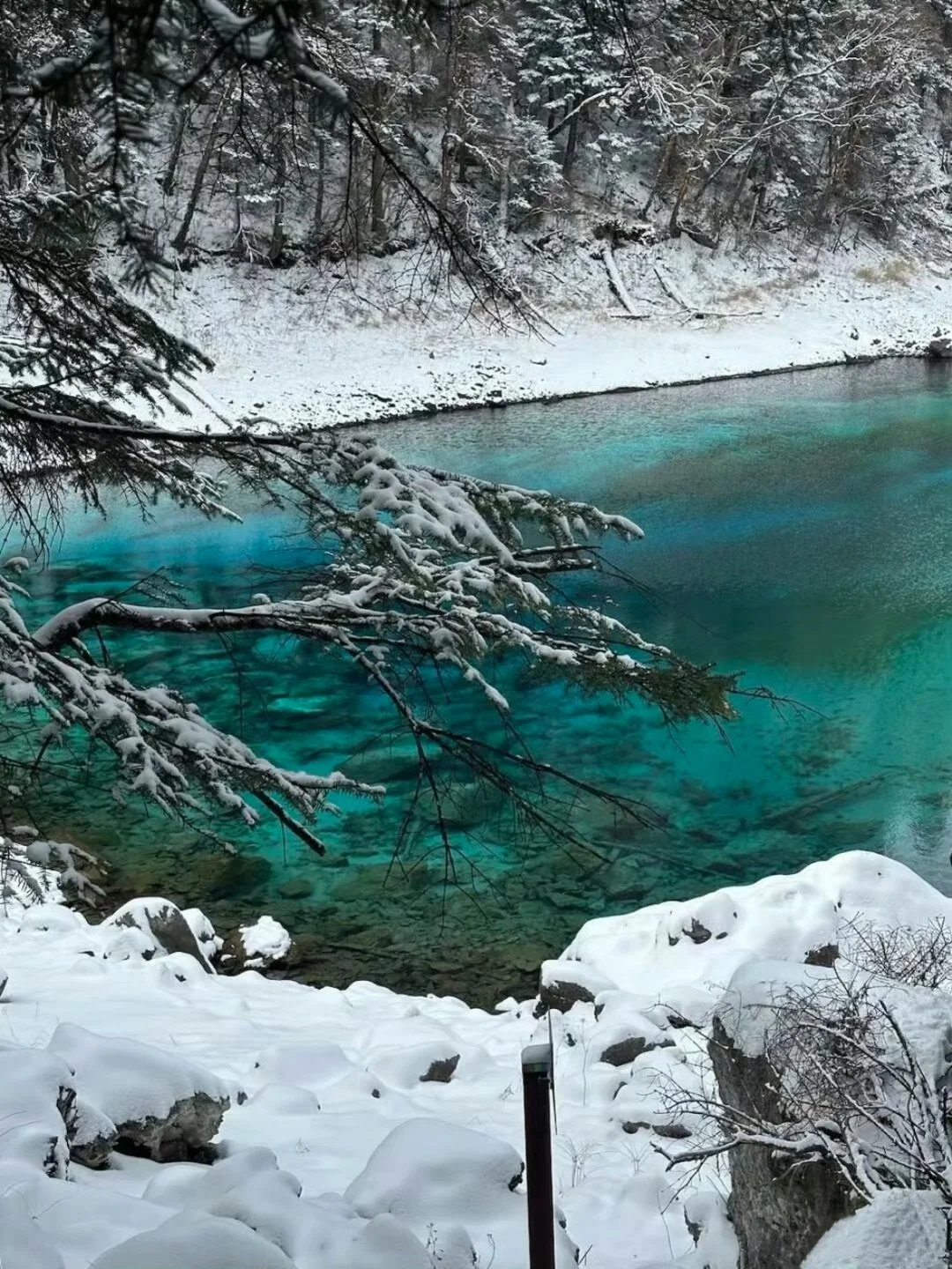 四川冬季必玩景点‼️‼️不踩坑沉浸式玩雪攻略