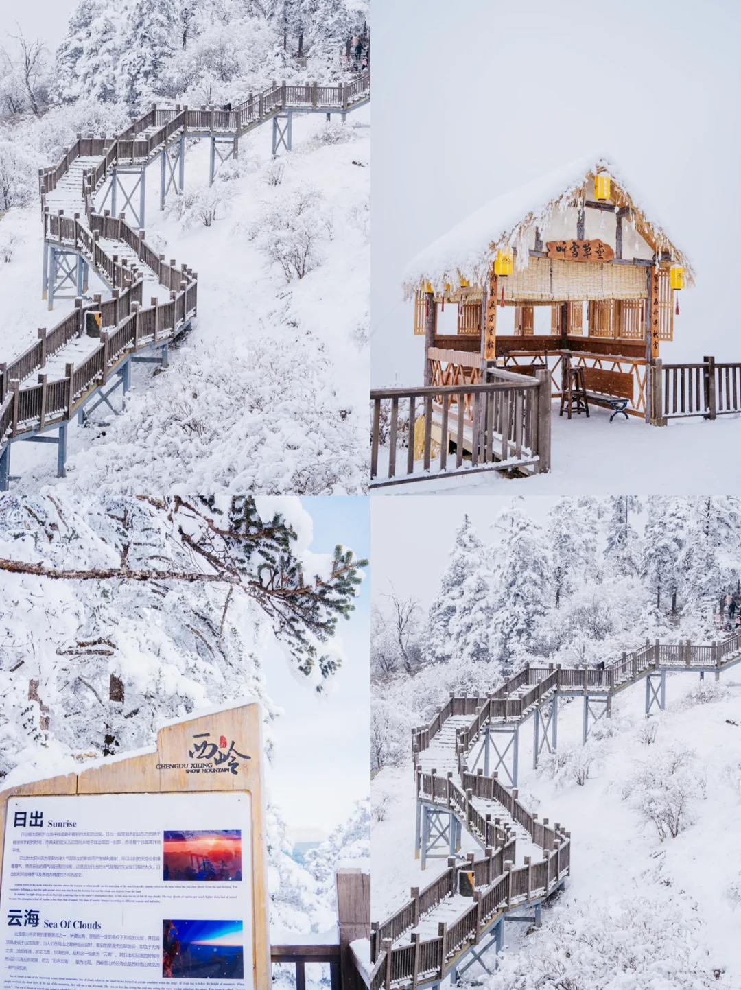 成都→西岭雪山包车一日游｜懒人玩雪攻略❄