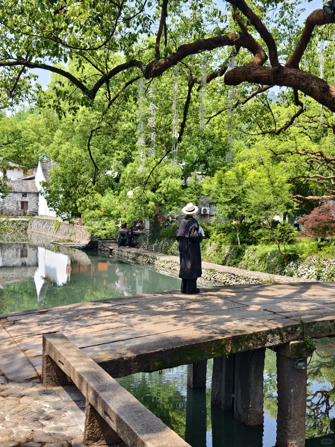 live图我宣布！小红书跟风打卡最成功的一次