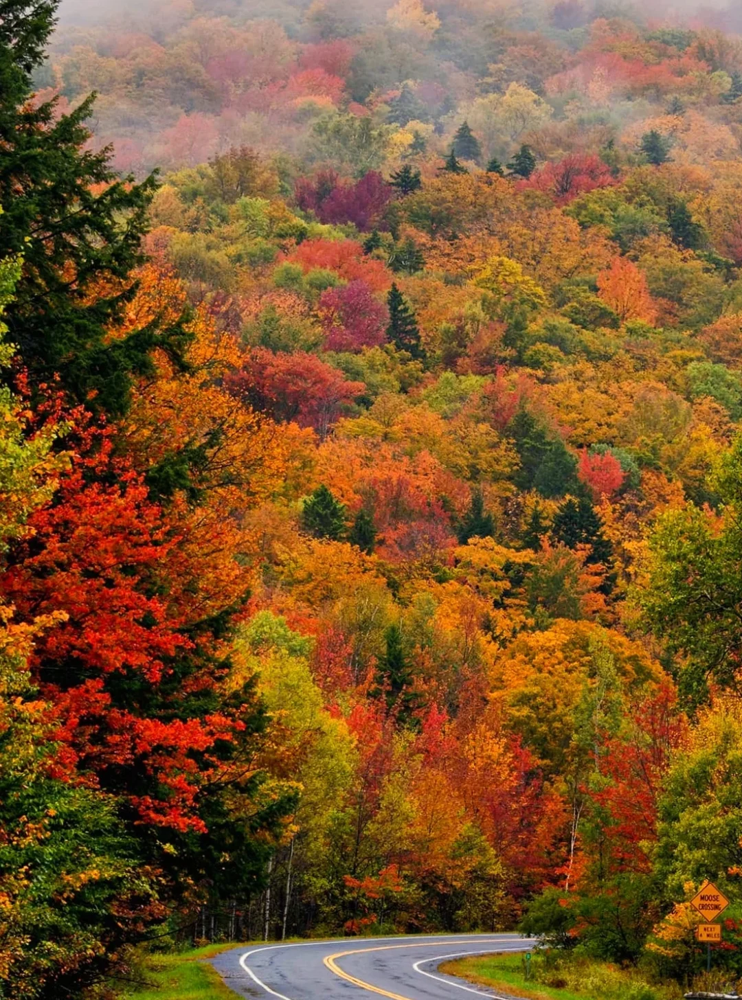 我私藏最美9条江浙沪赏秋路线🍂没有平替