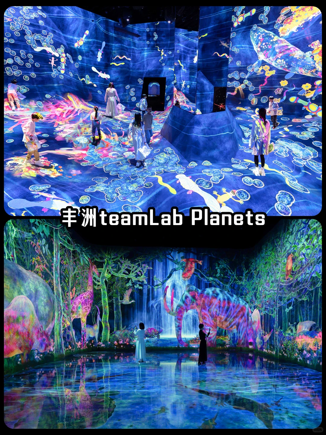 🌟【东京下雨天也不怕！10大室内景点必收藏