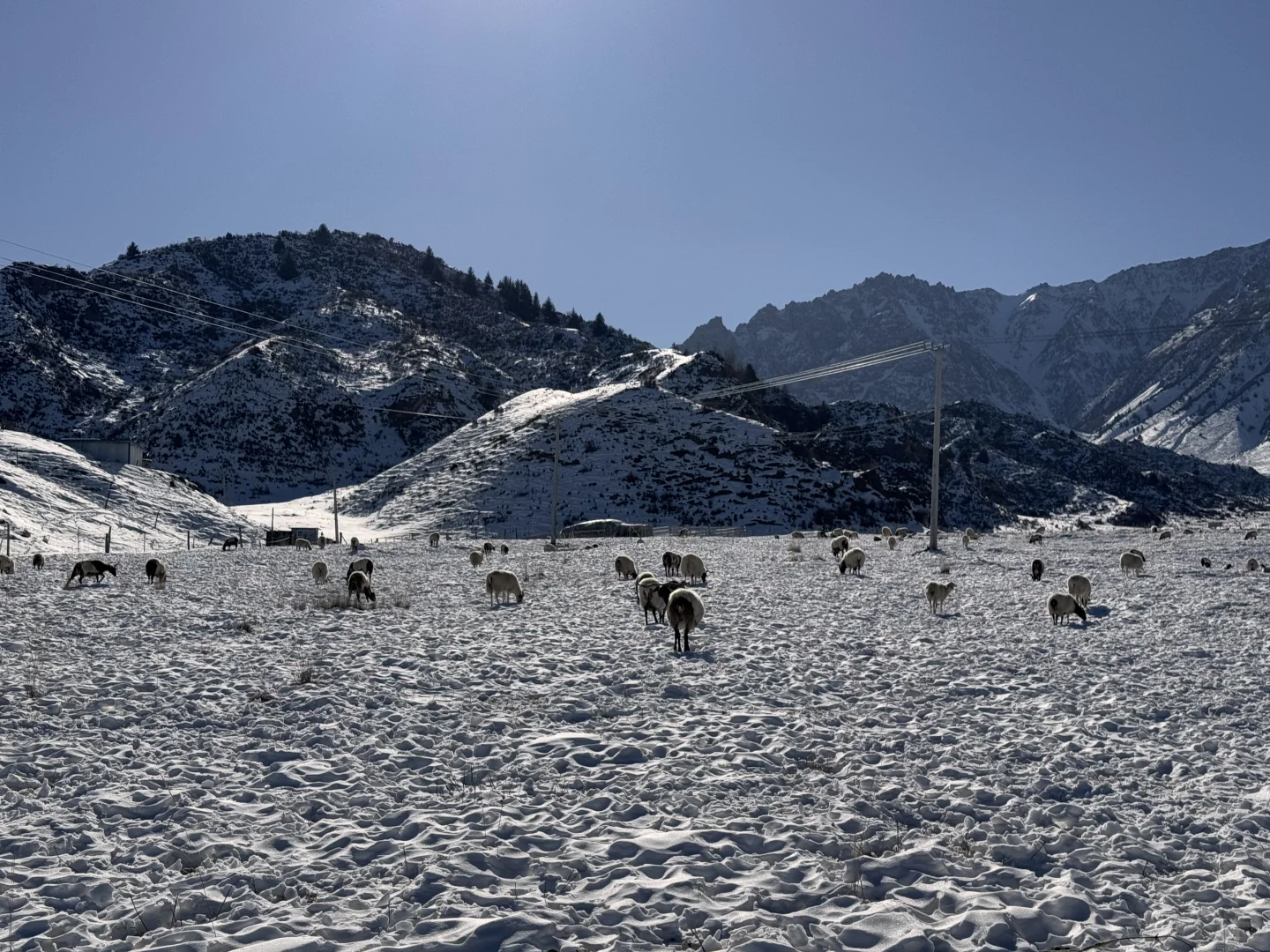 会再去一万遍甘肃张掖的!