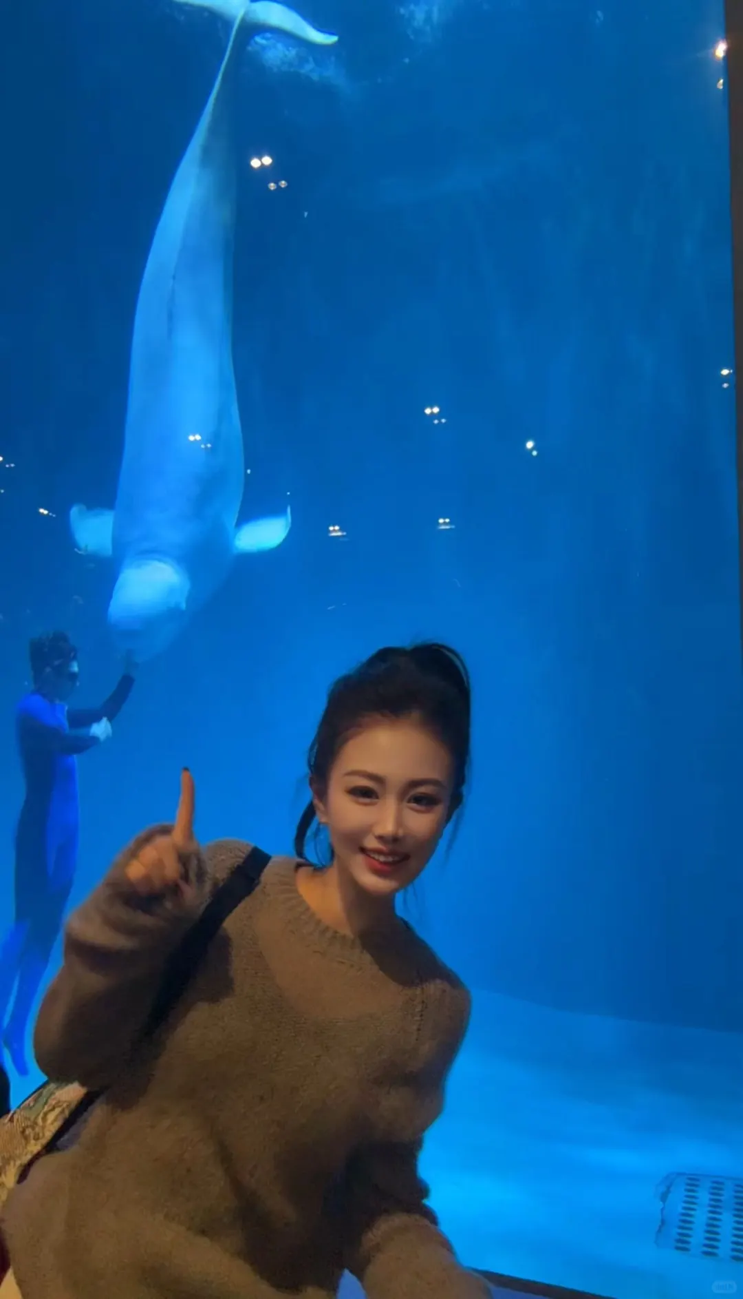 🐧哈尔滨极地公园顶流合集！一天玩够核心亮