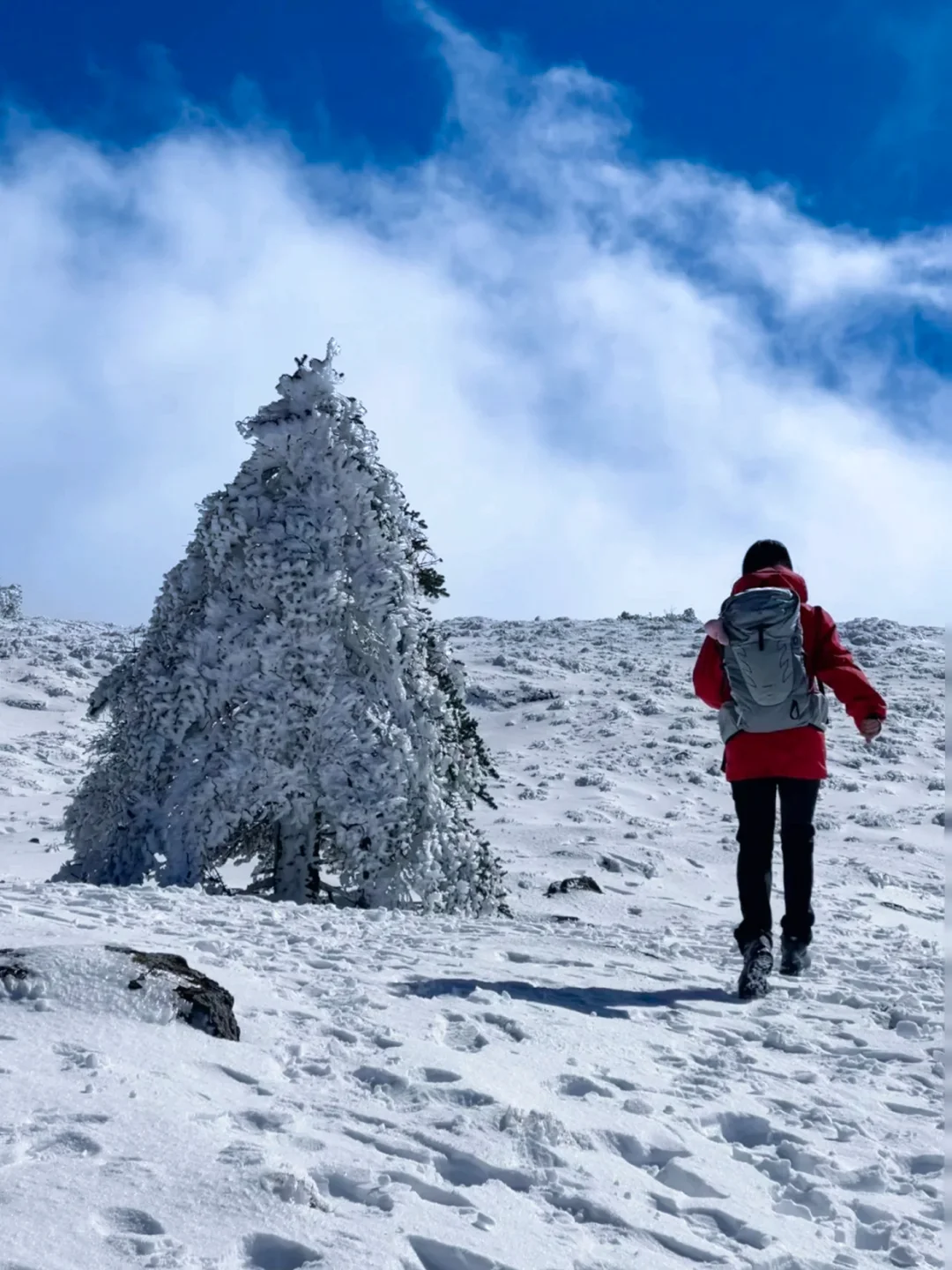 邂逅第一场雪！人均<400含交通住宿攻略