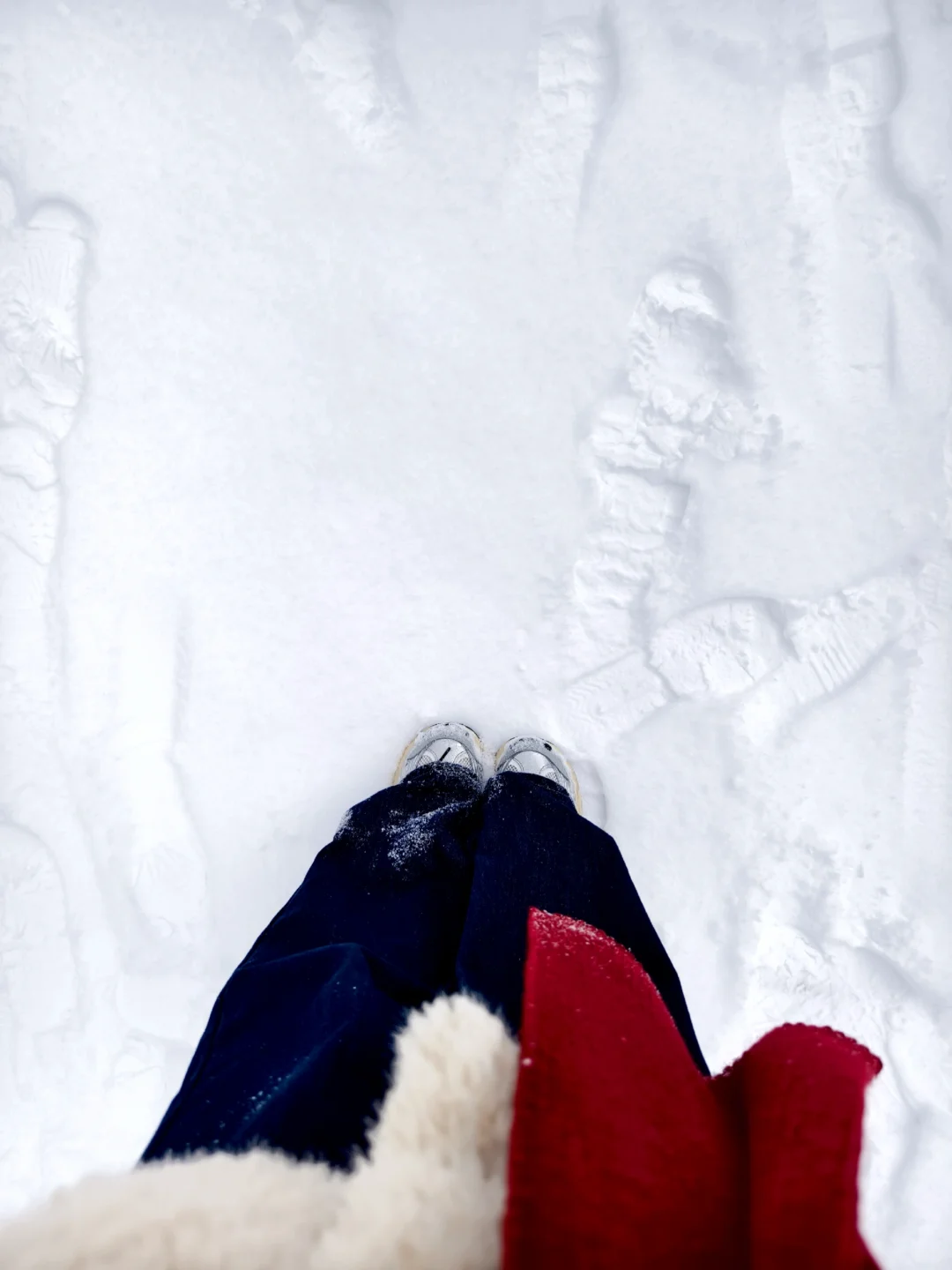 成都周边玩雪日记❄️|又免门票啦