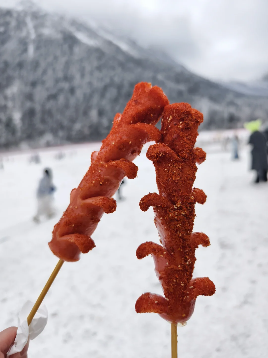 成都周边玩雪日记❄️|又免门票啦