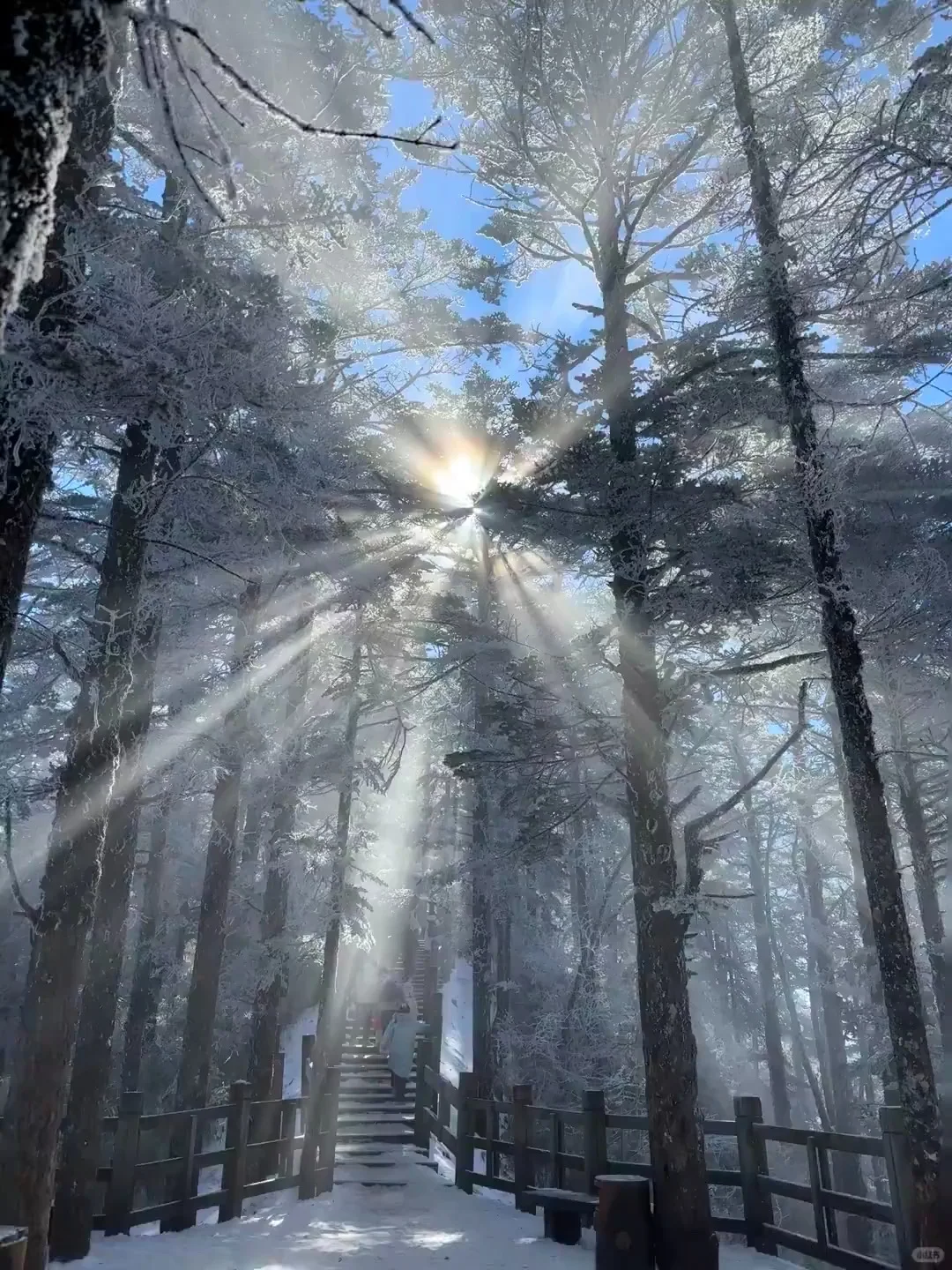 来成都住我家吧!128俩人😭雪景小木屋