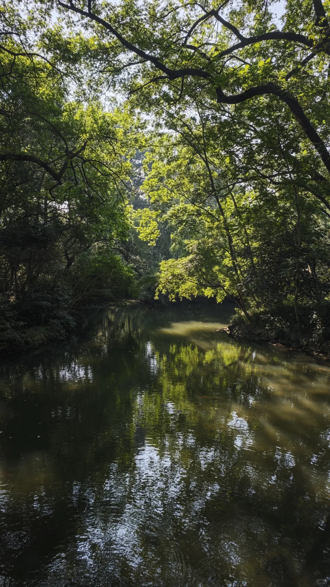 到底是谁把西湖评的5A景区！！！