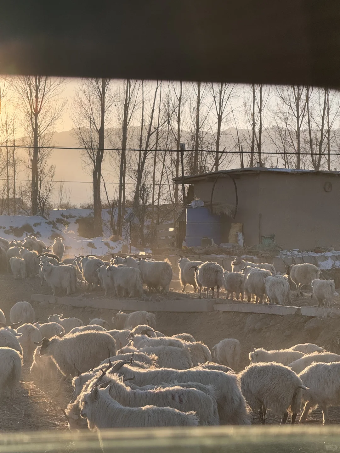 会再去一万遍甘肃张掖的!