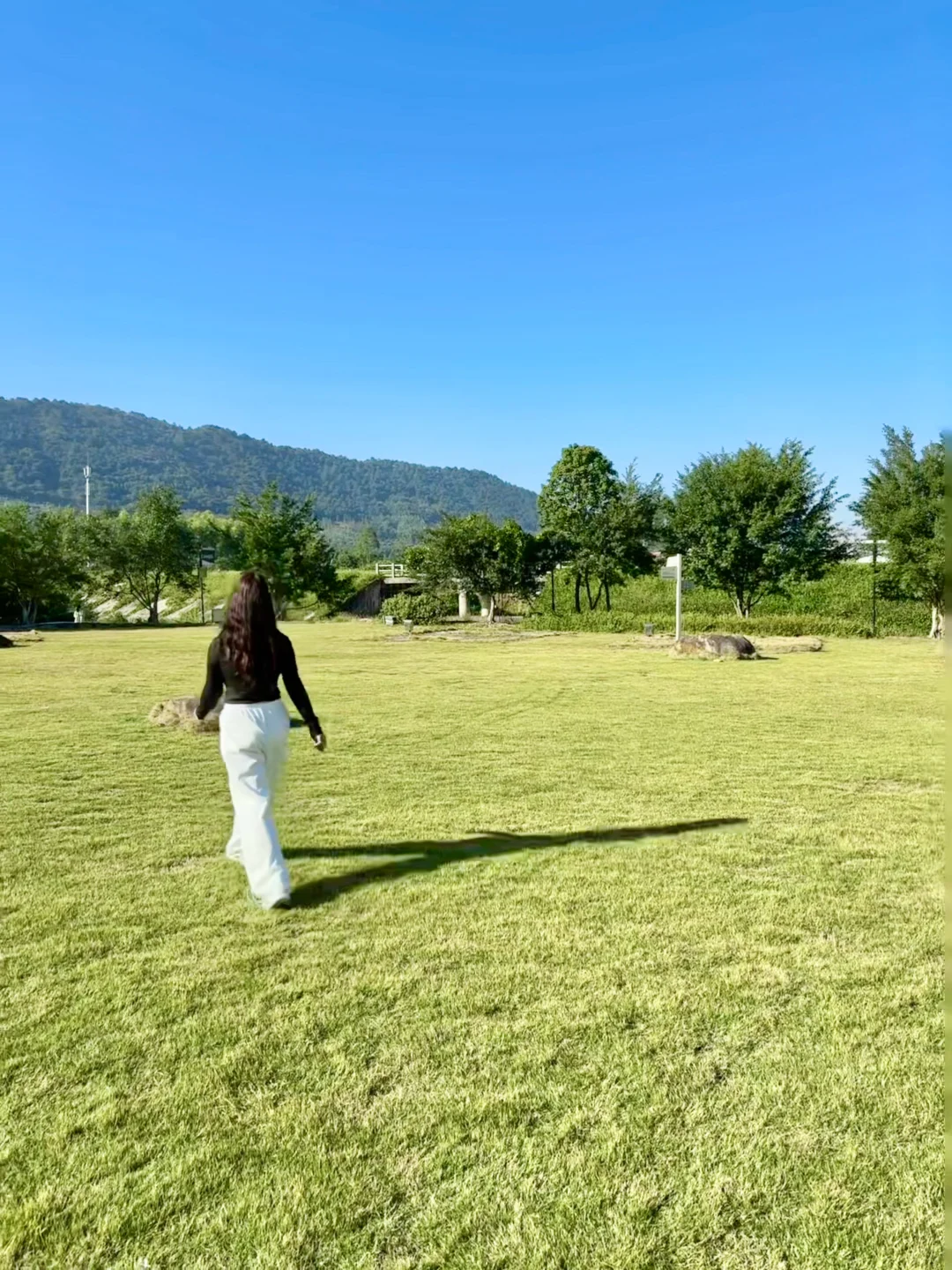 自由的风🏞️🌳🍃