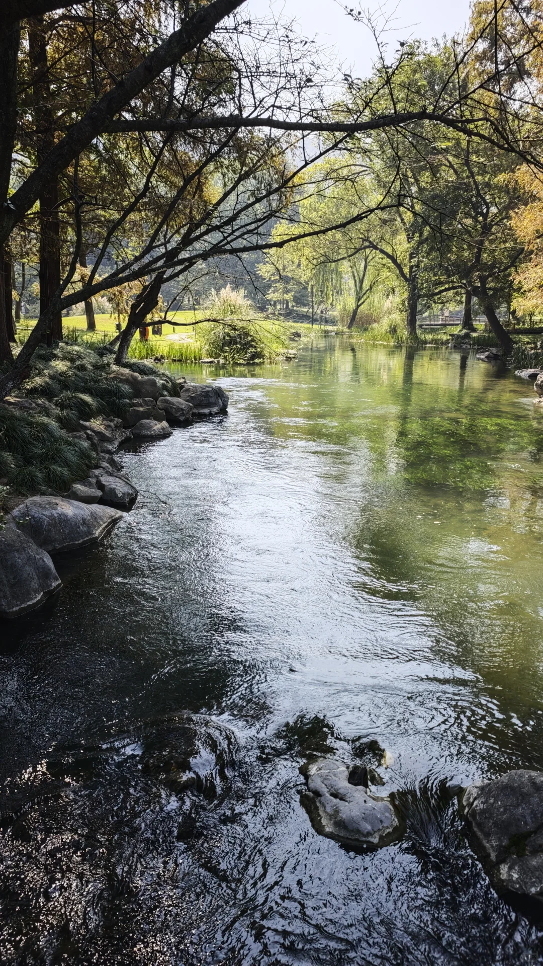 到底是谁把西湖评的5A景区！！！