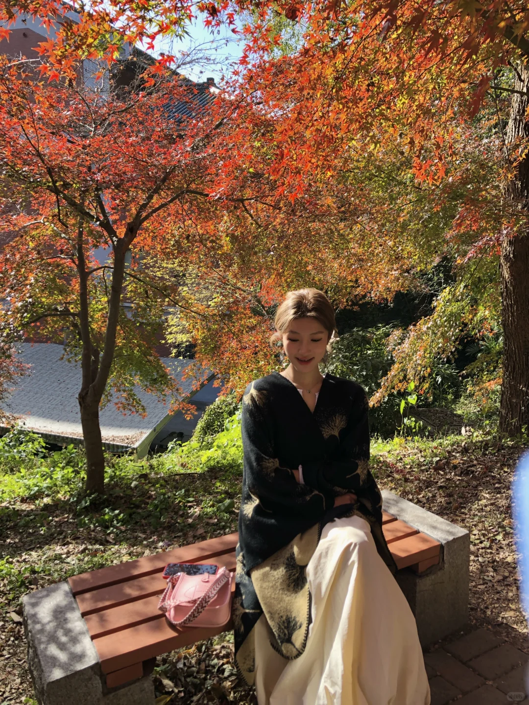 11.28实况！不在京都 在南京🍁枫叶美哭了🥹