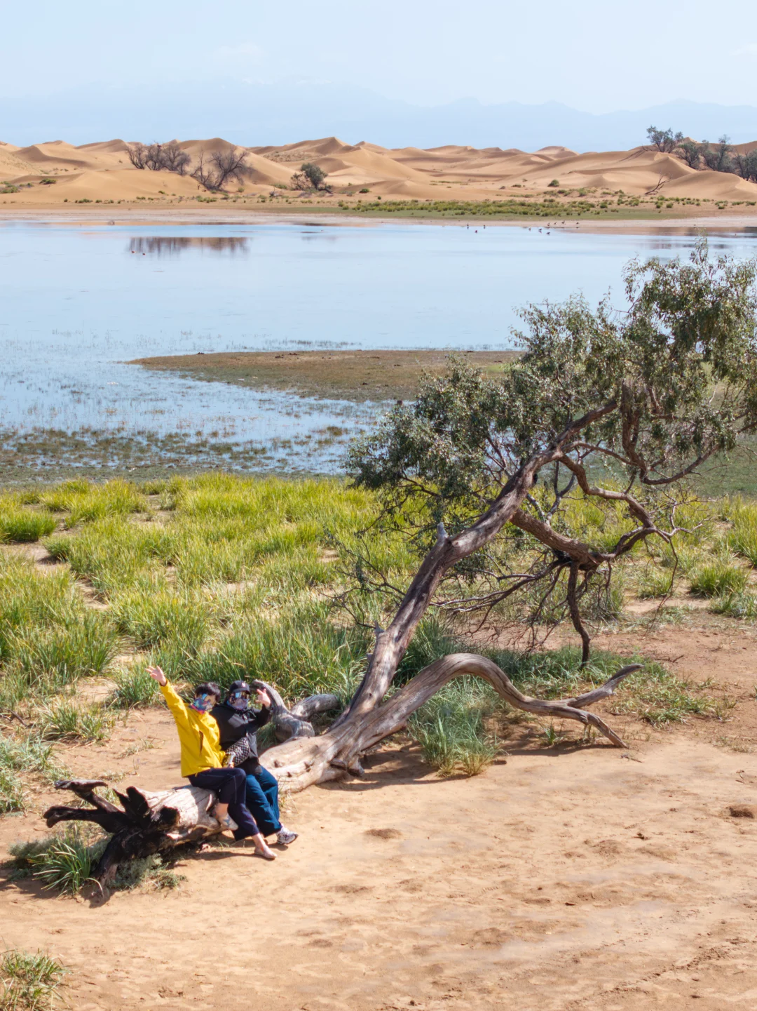 如果地球有心脏，那一定是在这里！