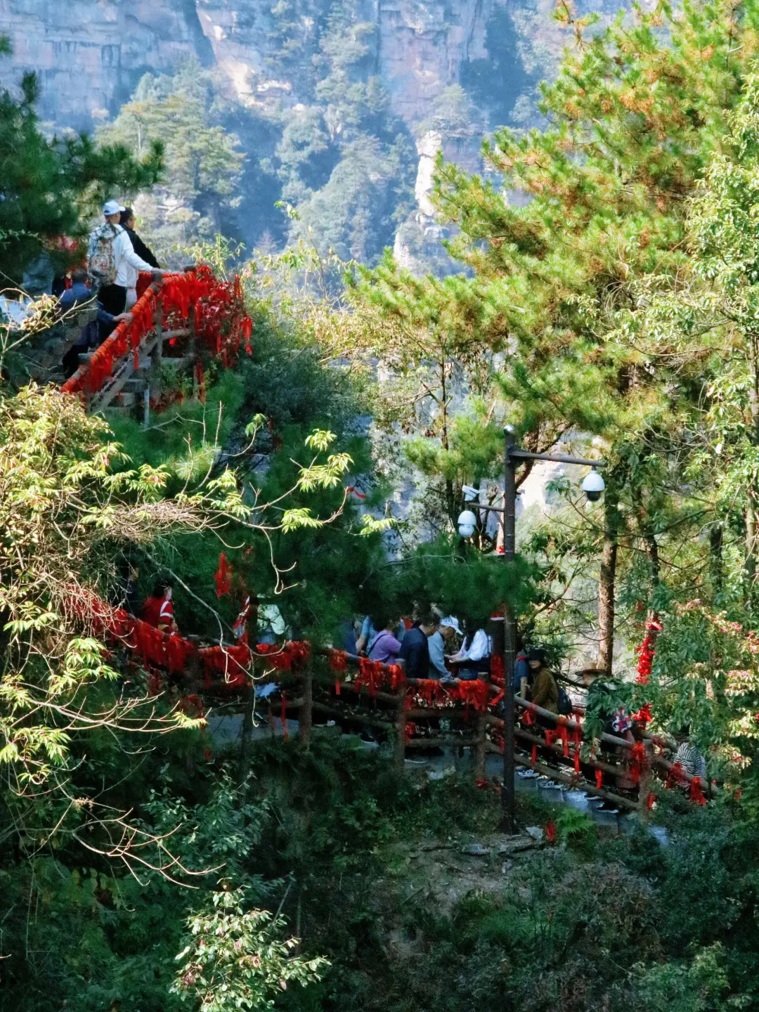 阿凡达取景地超全攻略，这样玩准没错