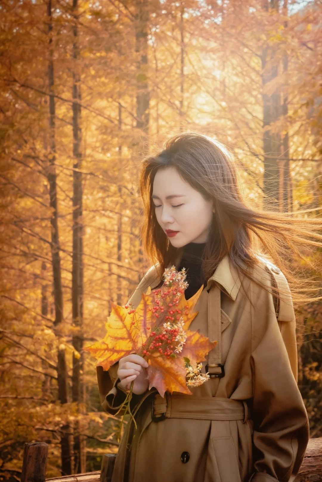 🍂北碚这条免费小众路线藏了整个秋天！