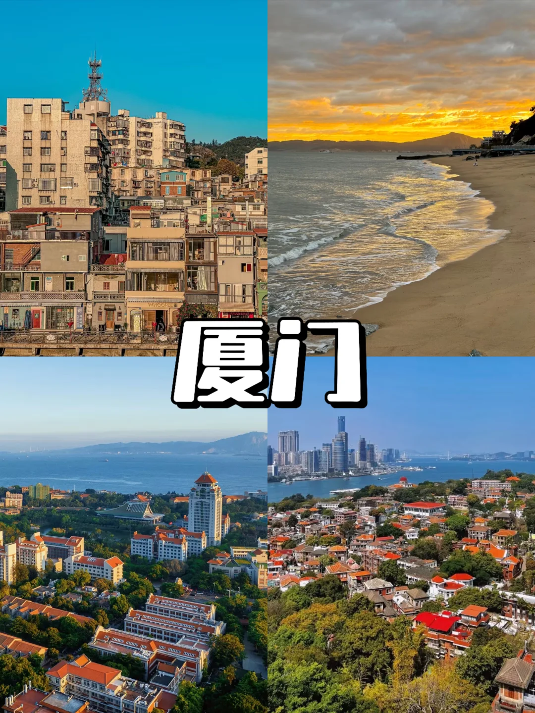 12-2月逃离寒冷❄️冬季反向旅游攻略来啦🙌🏻