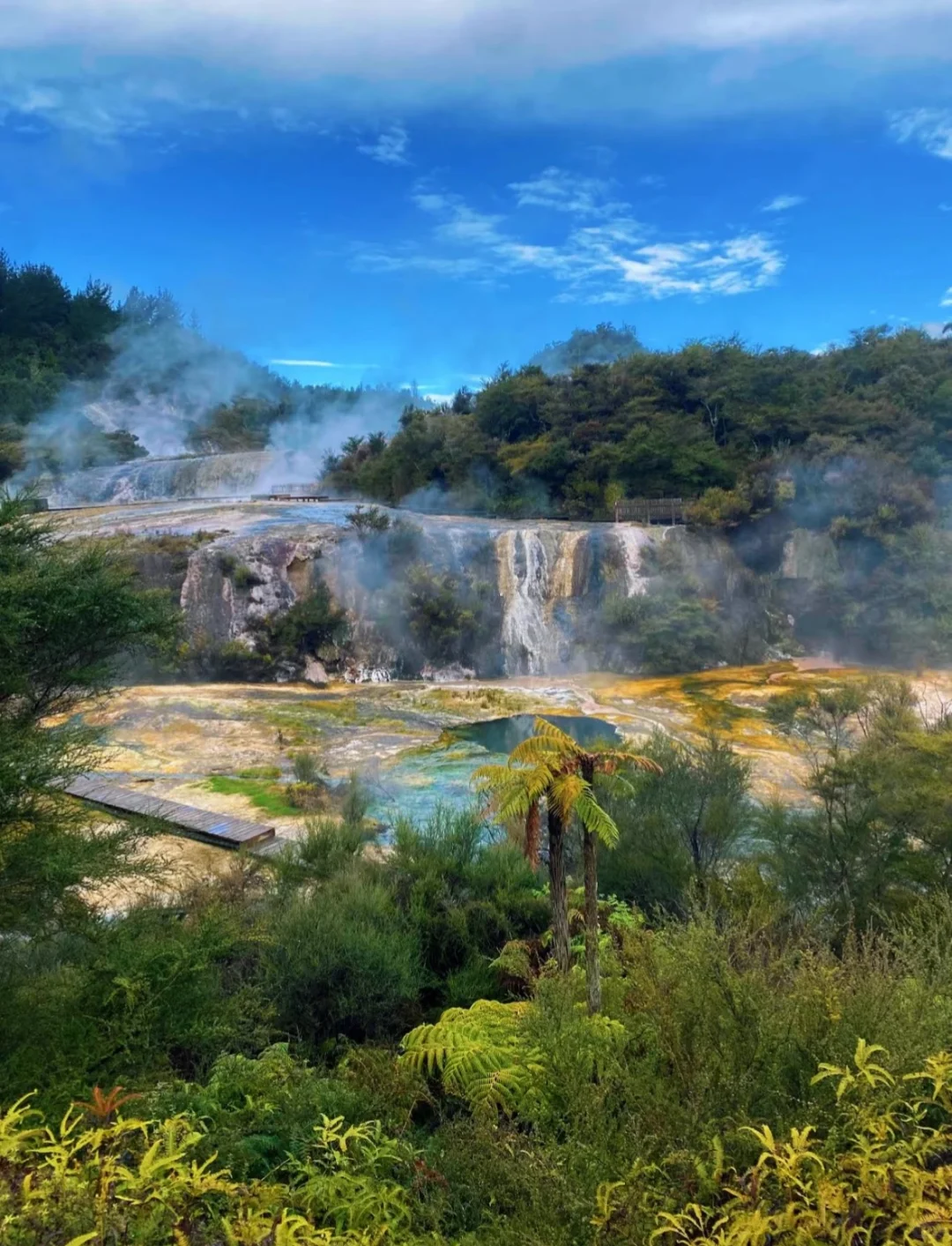 新西兰绝密仙境|乘船才能进的地热山谷🌋