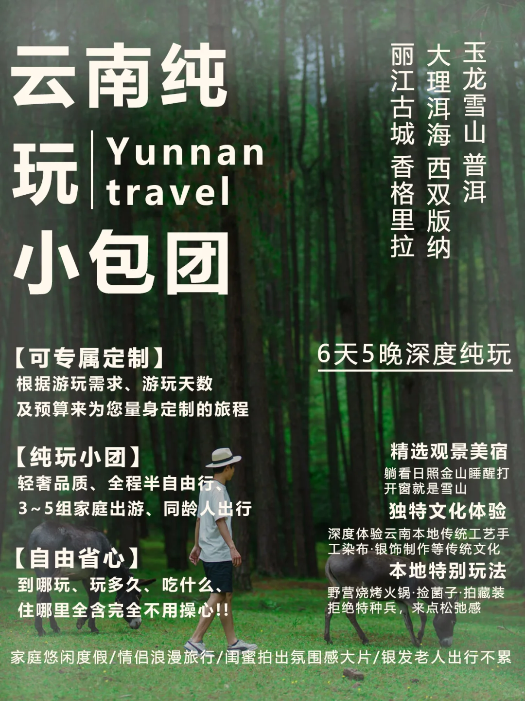 丢掉大脑🧠云南纯玩游🔥纯玩靠谱不踩坑